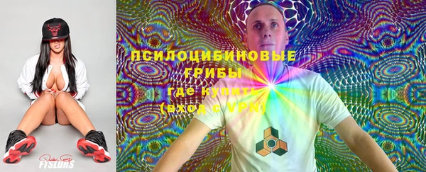 прущий лед Аркадак