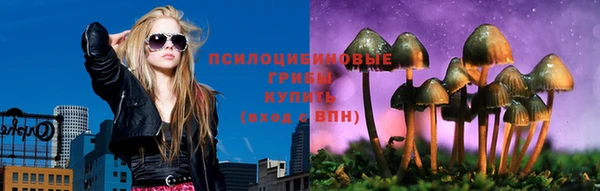 прущий лед Аркадак