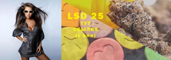прущие грибы Балахна