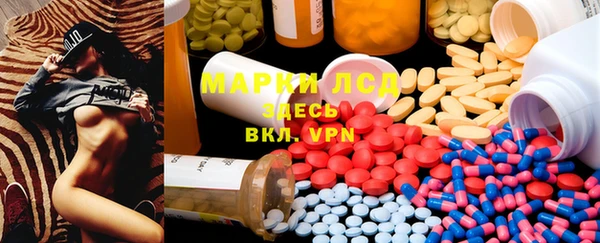 прущие грибы Балахна