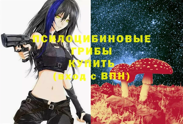 PSILOCYBIN Арсеньев