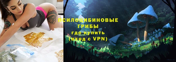PSILOCYBIN Арсеньев