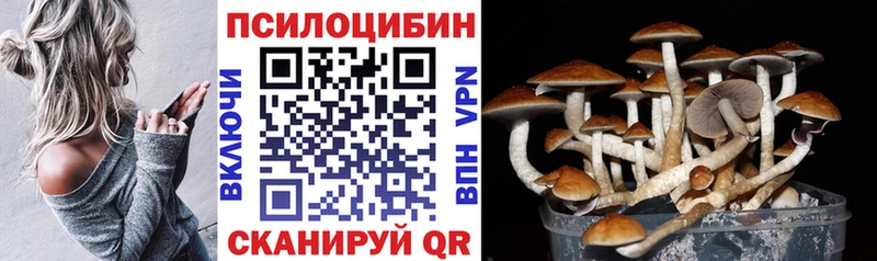 цены   Ковылкино  Псилоцибиновые грибы Magic Shrooms 